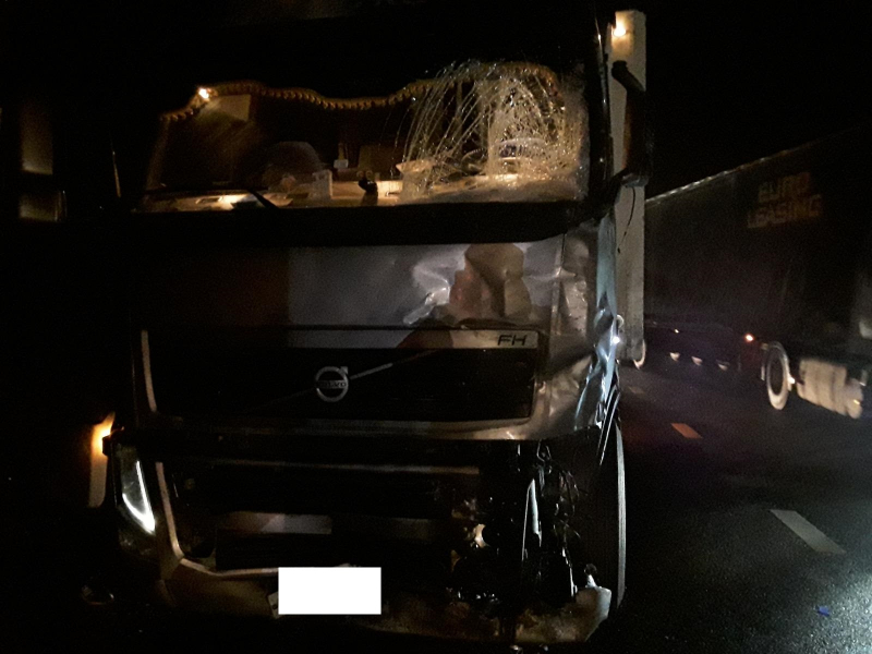 В массовом ДТП близ Шилово погиб водитель «Газели»